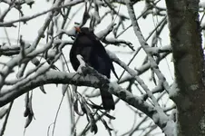 DSCF5341 (2).webp