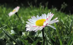 IMG_5073_1v.webp