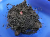 DSCF9128.webp