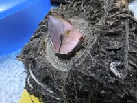 DSCF9118.webp