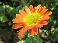 IMG_9608v.webp