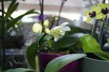 _DSC0011.webp
