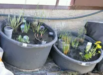 DSC_2524-1-640x464.webp