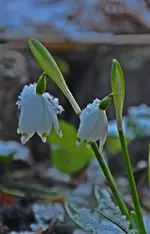 DSC_6545.webp