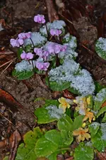 DSC_6551.webp