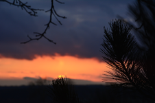 DSC_6552.webp