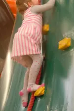 DSCN5rosa.webp