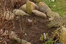 Hangbeet links von der Treppe_Frühjahrsputz2_700.JPG