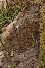 nächste Terrasse fertig_Frühjahrsputz3_600.JPG