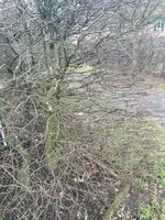 Foto 26.02.16, 17 11 24_Bildgröße ändern.jpg