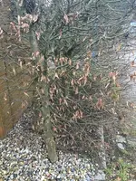 Foto 26.02.16, 17 11 17_Bildgröße ändern.webp