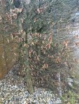 Foto 26.02.16, 17 11 17_Bildgröße ändern.jpg