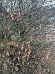 Foto 26.02.16, 17 11 08_Bildgröße ändern.jpg
