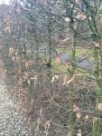 Foto 26.02.16, 17 10 48_Bildgröße ändern.jpg