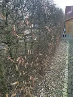 Foto 26.02.16, 17 10 33_Bildgröße ändern.webp