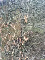 Foto 26.02.16, 17 11 12_Bildgröße ändern.webp