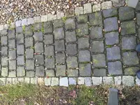Foto 26.02.16, 17 11 49_Bildgröße ändern.webp