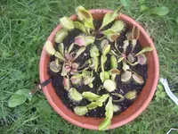 IMGP5125.webp