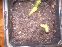 IMGP5127.webp