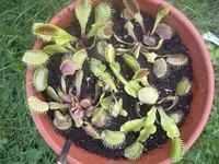 IMGP5126.webp