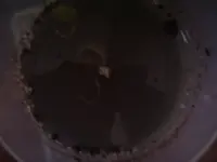 IMGP5129.webp