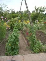 Garten 028.webp
