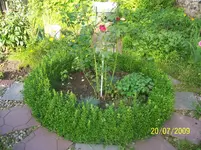 100_1967.webp