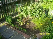 100_1968.webp