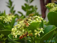PICT4684.webp