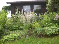 Garten Juli010 001.webp