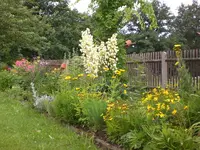Garten Juli10 003.webp