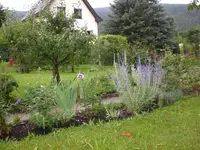 Garten Juli10 004.webp