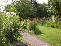Garten Juli09 015.webp