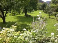 Garten Juli09 016.webp
