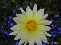 PICT4669.webp