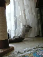 R0011571.webp