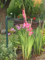 Gartensafari 002.webp