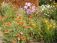 Gartensafari 003.webp