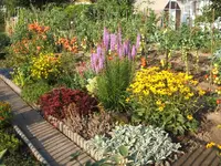 Gartensafari 007.webp