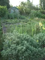 Gartensafari 011.webp