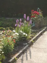 Gartensafari 019.webp