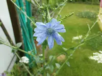 DSC00435.webp