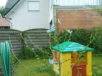 DSC00437.webp