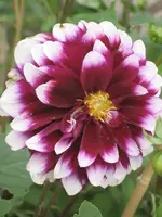 garten 09 006.webp