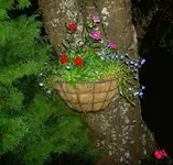 Sommer 2009 552 v.webp