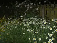 Haus & Garten alt 170 v.webp