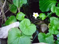 20.07.09 003.webp