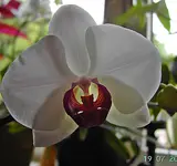 PICT4500.webp