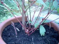 SIMG0115.webp