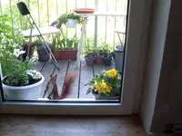 SDC10242.webp